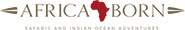 logo-africa-born